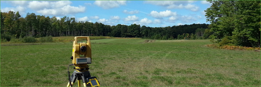 Землеустроительная экспертиза